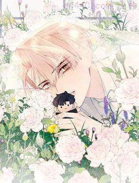 戎先生的失恋日记,戎先生的失恋日记漫画